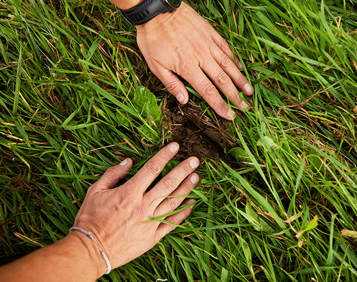 APV | 4 apv world gruenlandpflege gruenlandkombi | APV World