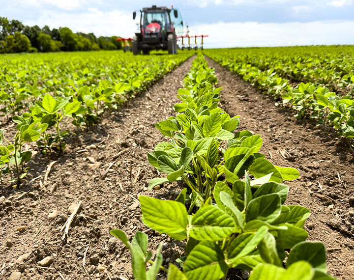 2-apv-world-kulturpflege-variostriegel