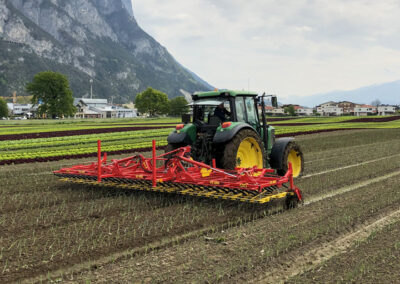 APV | Variostriegel APV Variostriegel - Ackerkulturpflege - Striegeltechnik perfekt für Reihenkulturen und Dammkulturen